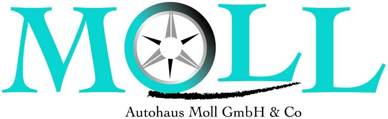 Zurück zur Startseite